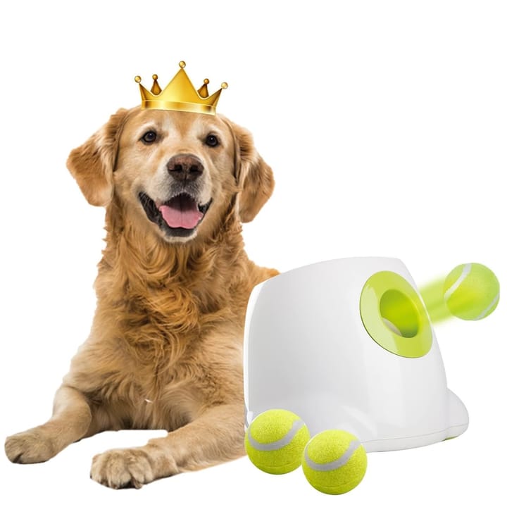 Automatic Dog Ball Launcher – Interactive Training Toy