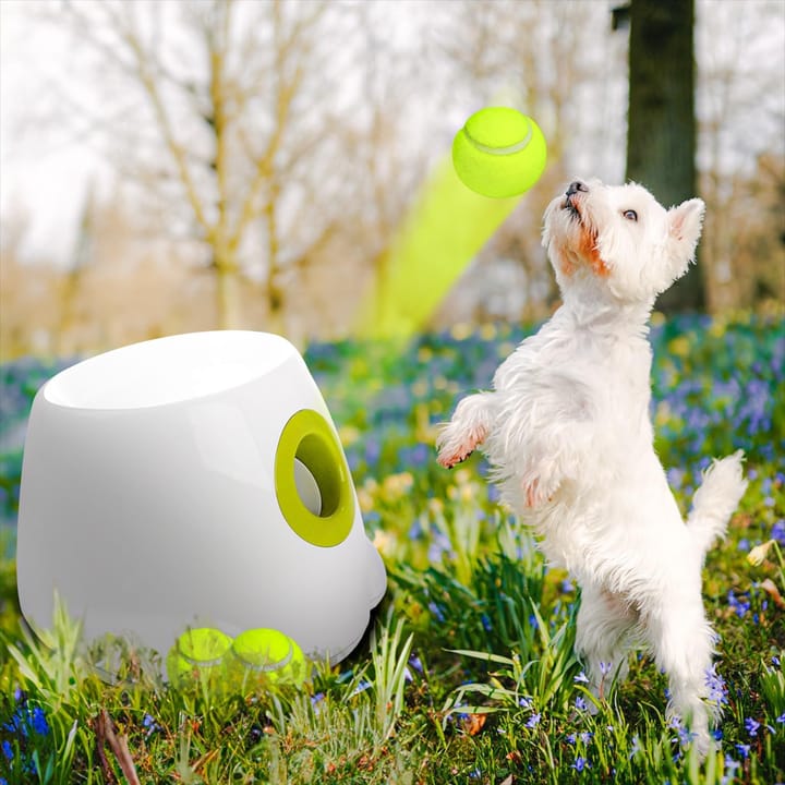 Automatic Dog Ball Launcher – Interactive Training Toy