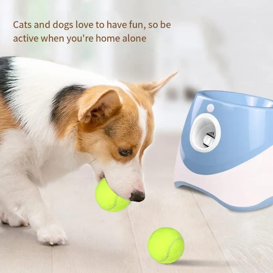 Automatic Dog Ball Launcher – Interactive Training Toy