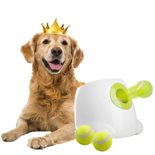 Automatic Dog Ball Launcher – Interactive Training Toy
